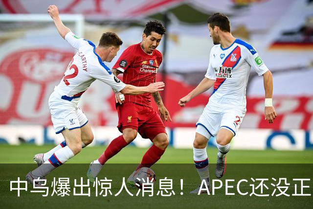 中乌爆出惊人消息！APEC还没正式开幕，最佳停战方案已经出现？